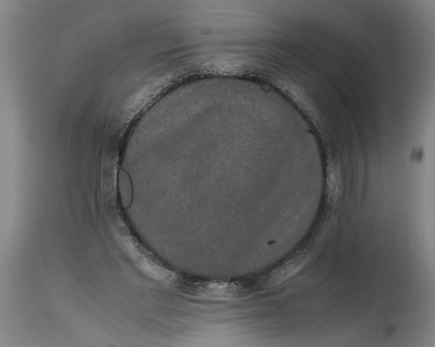 X0000114660493200911101346