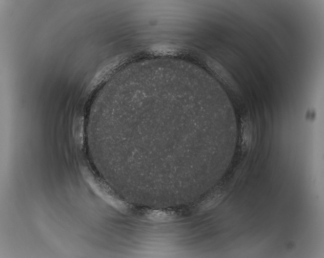 X0000114660494200911101346