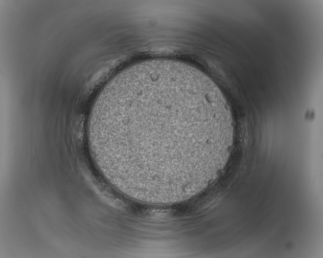 X0000114660495200911101346