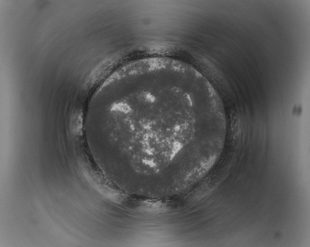 X0000114660502200911101346