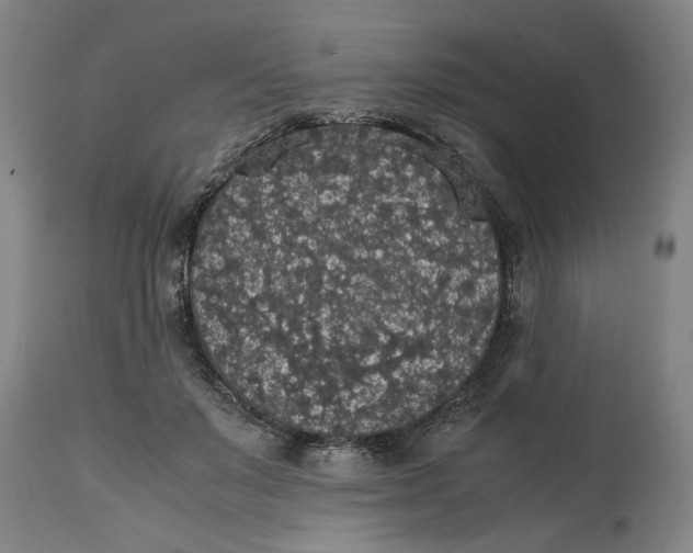 X0000114660503200911101346