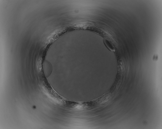 X0000114660504200911101346