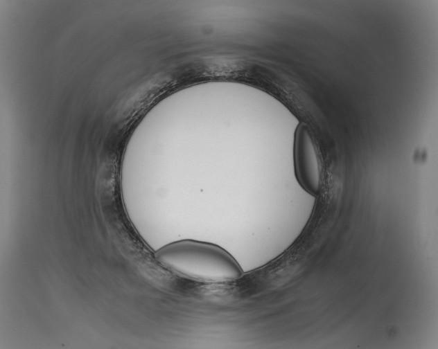 X0000114660505200911101346