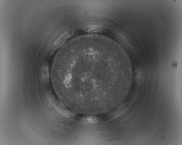 X0000114660506200911101346