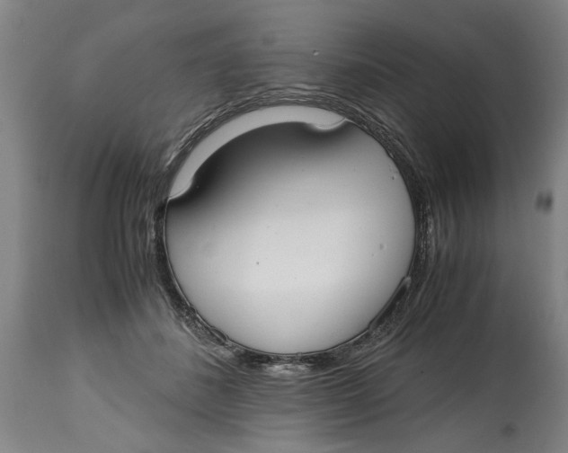 X0000114660508200911101346