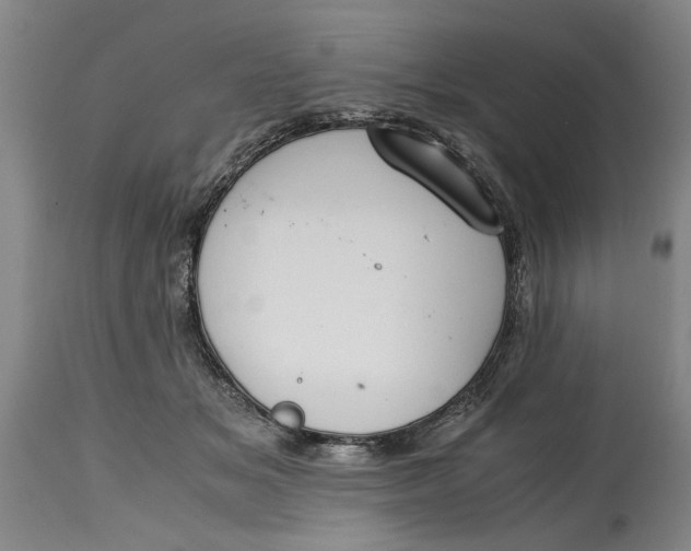 X0000114660509200911101346