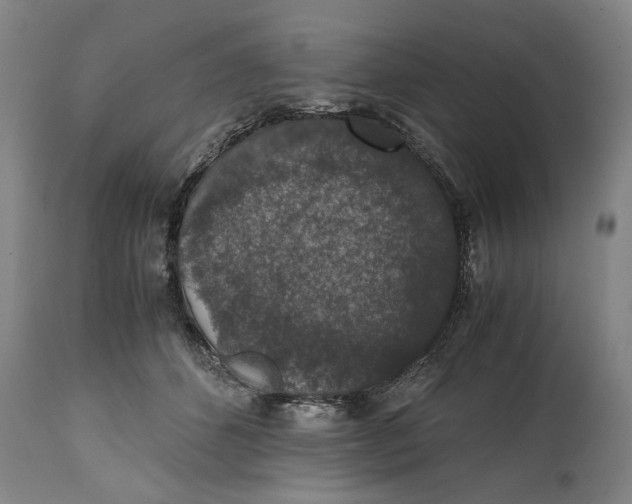 X0000114660512200911101346