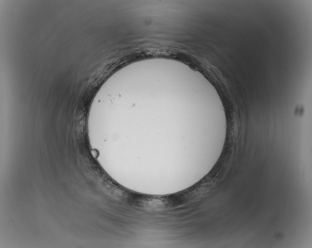 X0000114660513200911101346