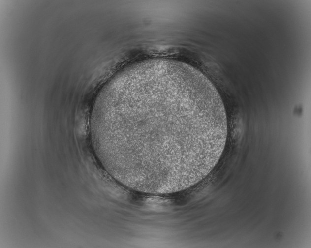 X0000114660515200911101346