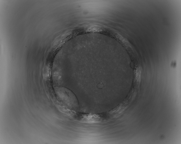 X0000114660517200911101346