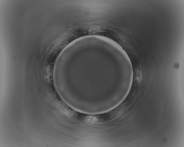 X0000114660519200911101346