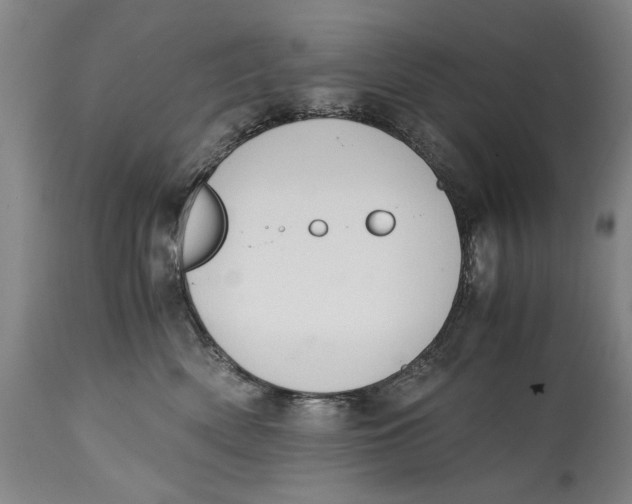 X0000114660522200911101346