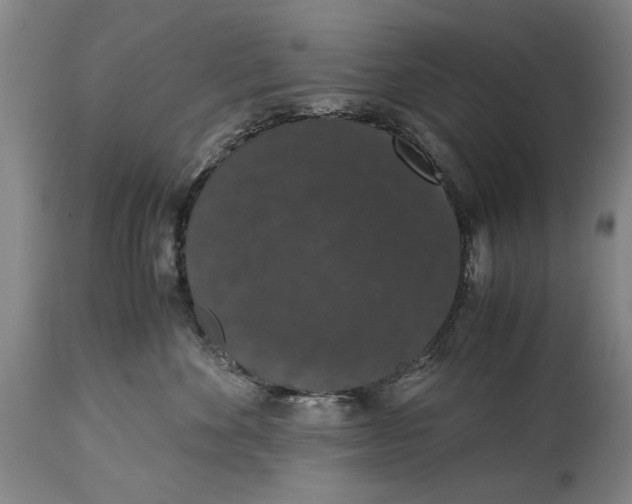 X0000114660524200911101346