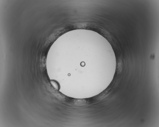 X0000114660525200911101346