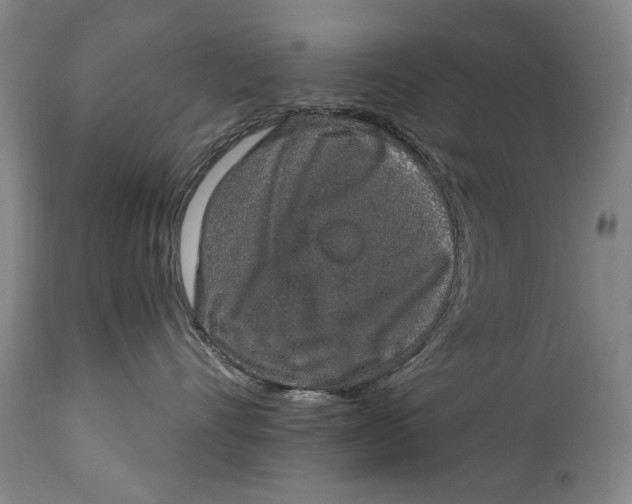 X0000114660528200911101346