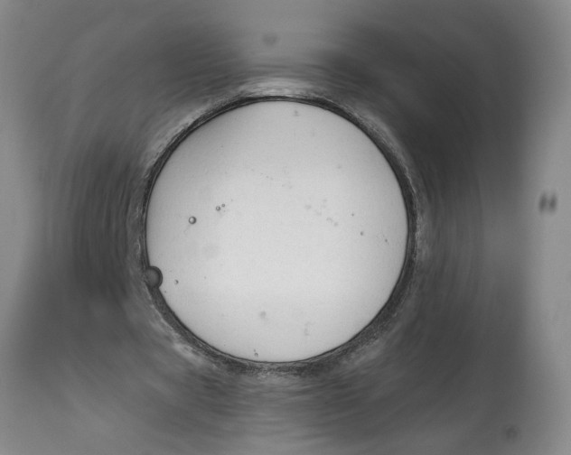 X0000114660529200911101345