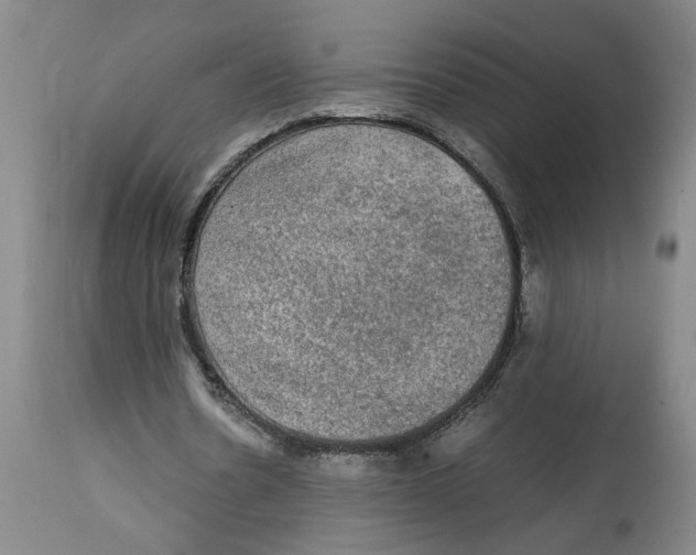 X0000114660530200911101345