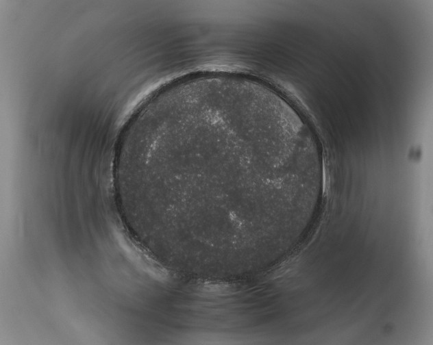 X0000114660531200911101345