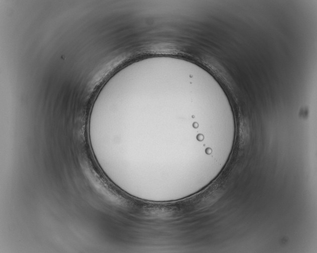 X0000114660533200911101345