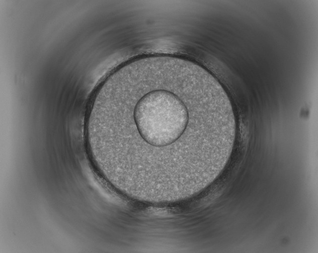 X0000114660534200911101345