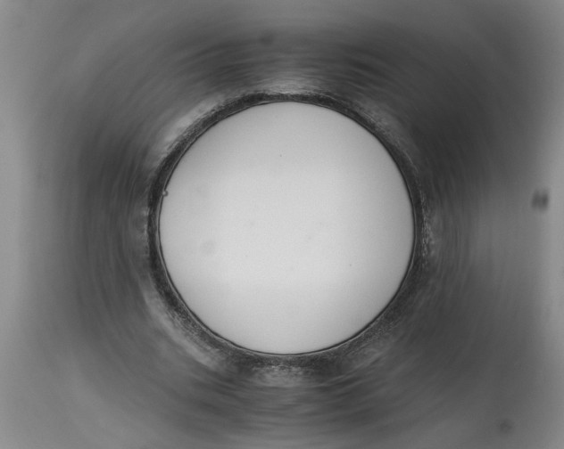 X0000114660535200911101345