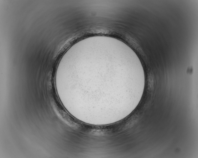 X0000114660538200911101345