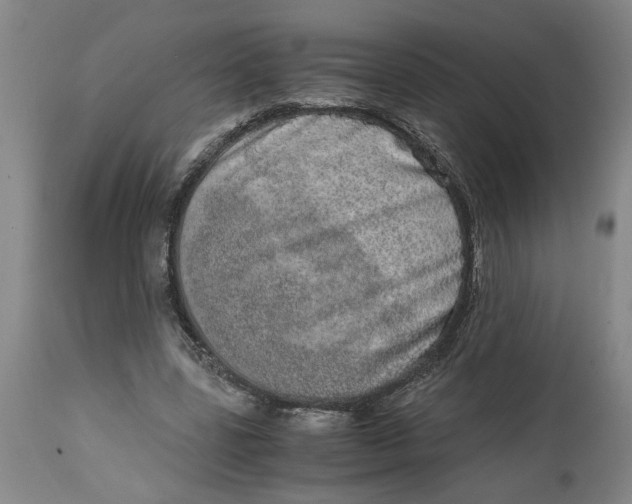 X0000114660539200911101345