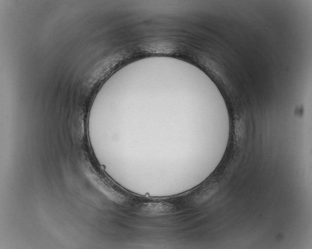 X0000114660541200911101345