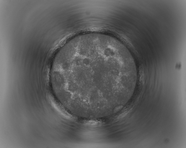 X0000114660542200911101345