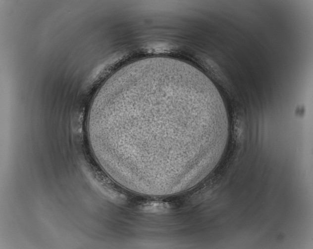 X0000114660543200911101345