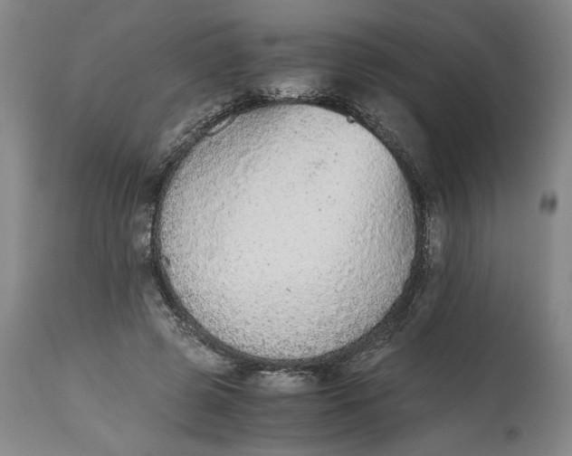 X0000114660545200911101345