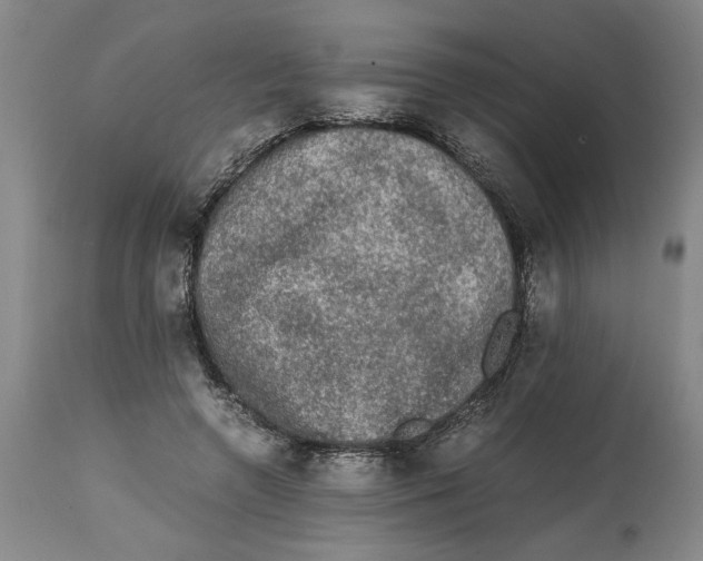 X0000114660546200911101345