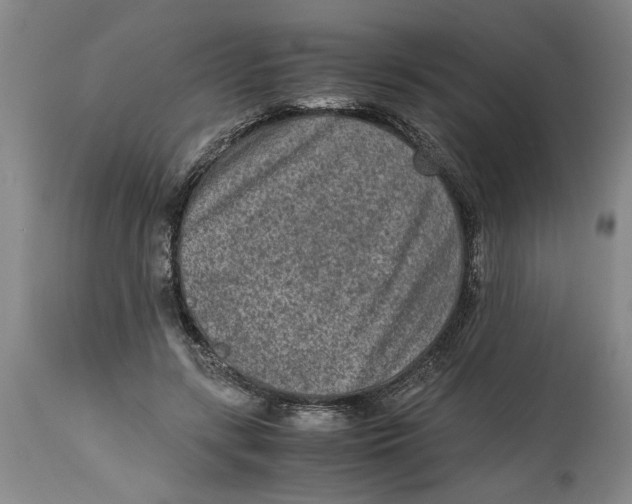 X0000114660547200911101345