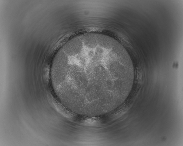 X0000114660550200911101345