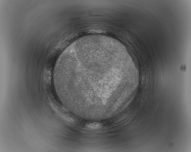 X0000114660551200911101345