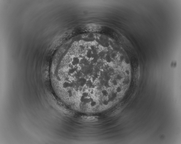 X0000114660553200911101345