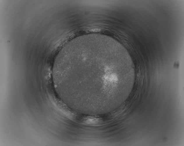 X0000114660555200911101346