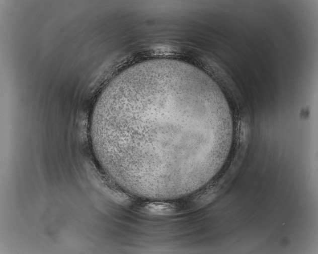 X0000114660557200911101346