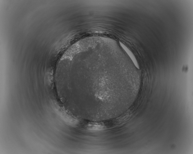 X0000114660559200911101346