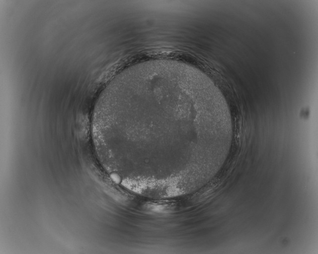 X0000114660563200911101346