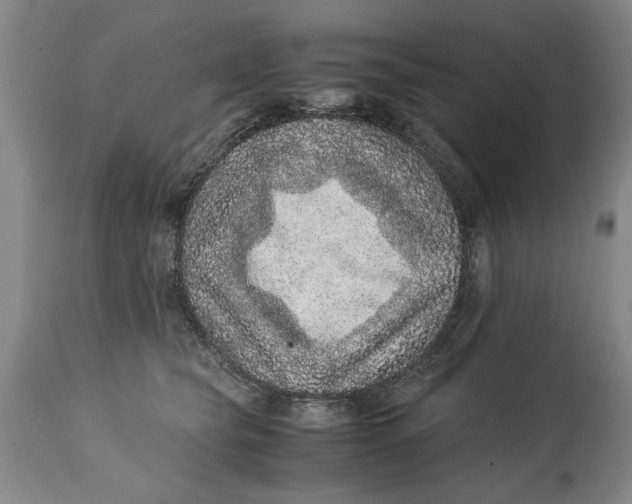 X0000114660565200911101346