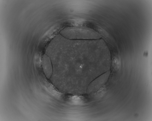 X0000114660566200911101346