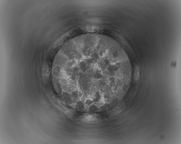 X0000114660569200911101346