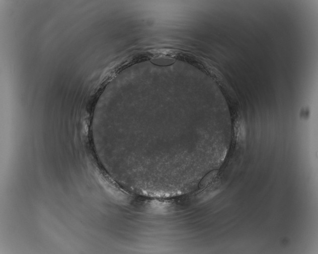 X0000114660570200911101346