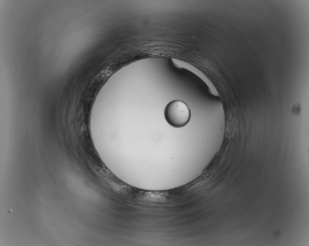 X0000114660573200911101346