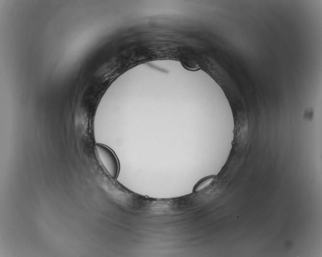 X0000114660574200911101346