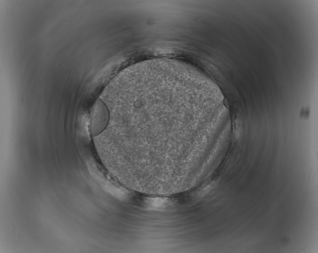 X0000114660575200911101346