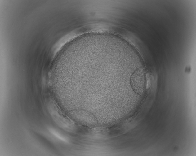 X0000114660579200911101345