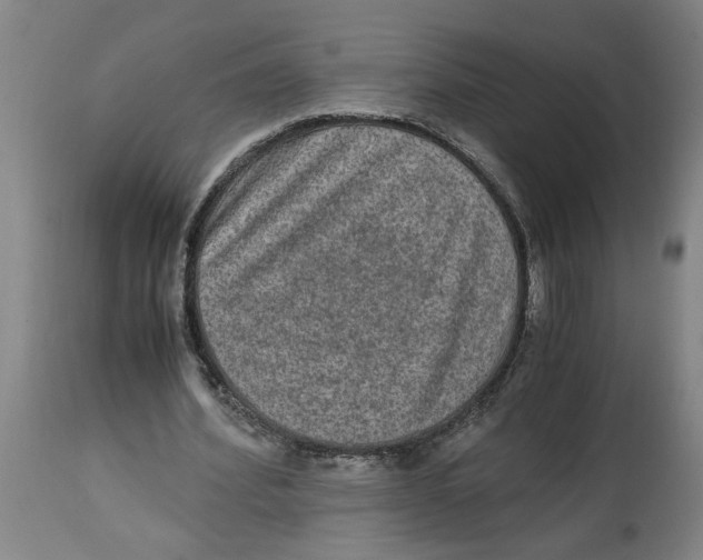 X0000114660580200911101345