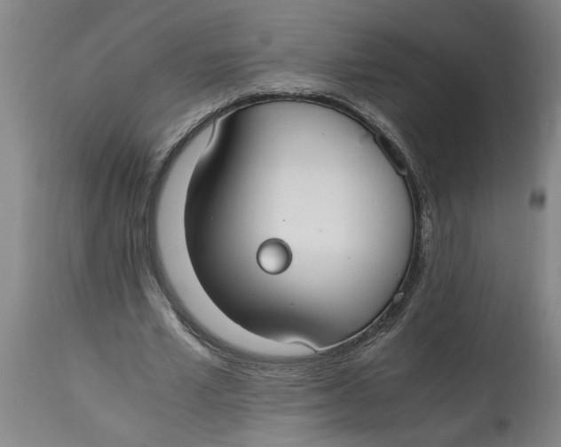 X0000114660581200911101345